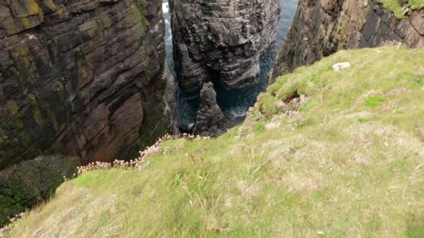 Slow Tiling Shot Reveals Seabirds Flying Turquoise Green Ocean Front — Vídeo de Stock