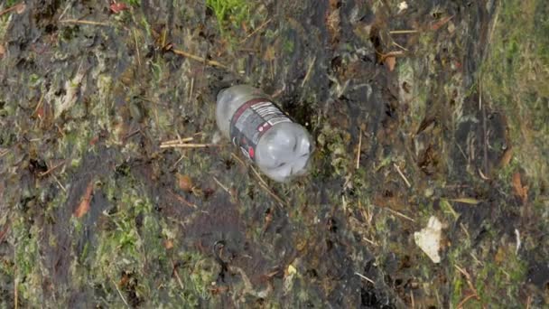 Вертикальний Формат Пластикового Контейнера Плаває Забрудненій Воді Гнилі Водорості — стокове відео