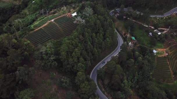Car Road Top Drone Aerial View — Vídeos de Stock