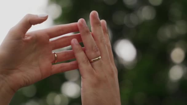 Artistic Sensual Shot Hands Touching Wedding Couple Beautiful Blurry Background — Vídeos de Stock