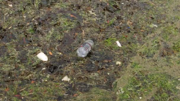 Plastic Drink Container Other Garbage Floating Stagnant Polluted Water — Vídeo de Stock