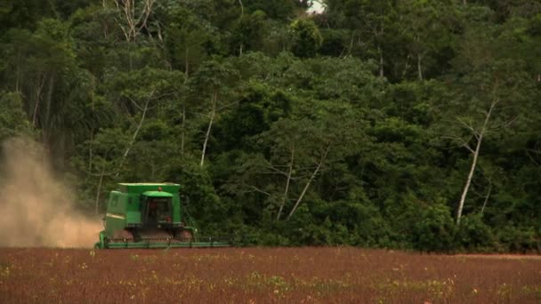Combine Harvester Gathering Soybeans Farmland Brazil — Video Stock