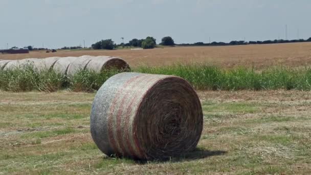 Hay Bales Texas Farm Wrapped American Flag Bale Wrappers — Vídeos de Stock