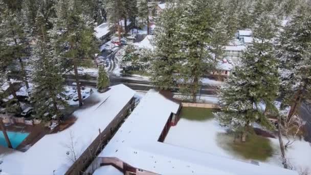 Country Houses Pine Trees Covered Snow Winter Season Lake Tahoe — Stok video