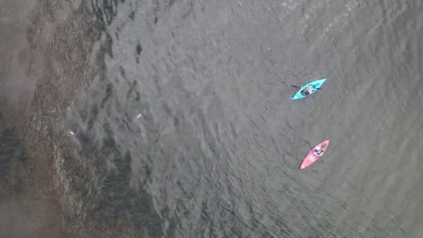 Aerial Bird Eye View Tourists Kayaking Lake Daytime — Stok video