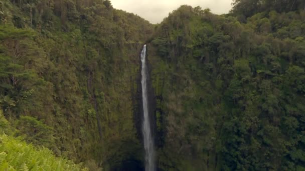 Massive Waterfall Cascading Dark Plunge Pool Hawaii Rainforest — Vídeo de Stock