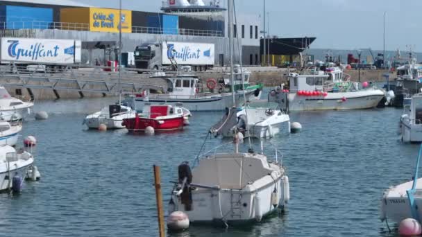 Variedade Pequenos Barcos Ancorados Porto Brest França — Vídeo de Stock