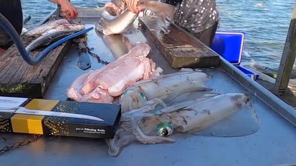 Dos Pescadores Limpian Calamares Tiburones Otras Especies Peces Una Mesa — Vídeo de stock