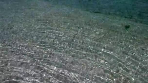 Shallow Sea Clear Blue Waters Rippling Sandy Bottom Pristine Beach — Wideo stockowe