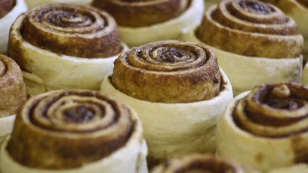 Batch Freshly Baked Cinnamon Rolls Pulled Out Sitting Cool Filmed — Stock video