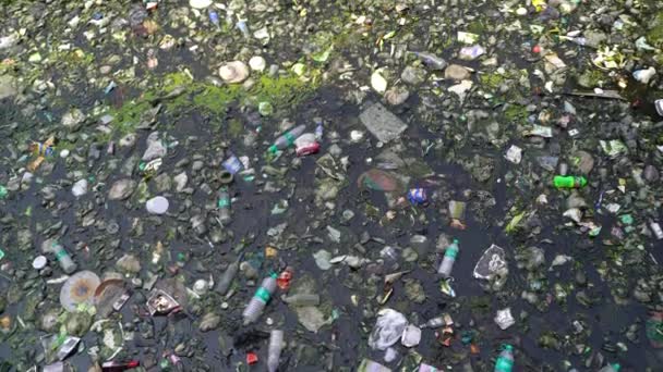 Most People Know Use Recyclable Plastic Causing Plastic Thrown Belongs — Vídeo de Stock