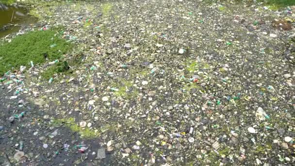 Most People Know Use Recyclable Plastic Causing Plastic Thrown Belongs — Wideo stockowe