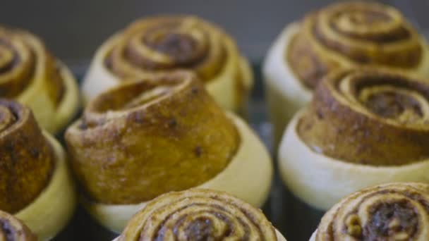 Fresh Batch Baked Cinnamon Rolls Pulled Out Oven Reshaped Small — Video