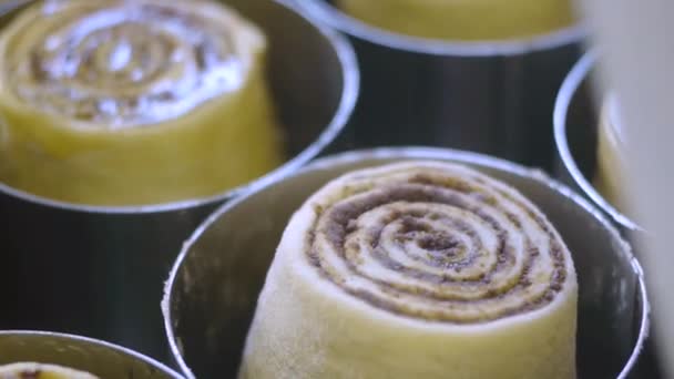 Softened Butter Brushed Surface Freshly Cut Uncooked Cinnamon Roll Filmed — Stok video
