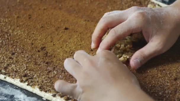 Walnuts Arranged Line Hand Large Sheet Flat Dough Cinnamon Chocolate — Video Stock