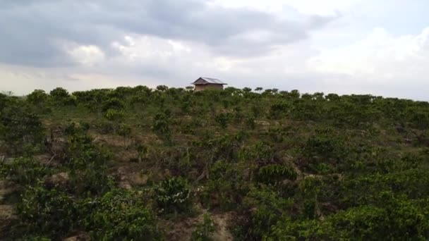 Rural Little Shelter House Construction Top Coffee Plantation Hill Southeast — Stockvideo