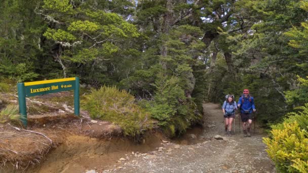 Static Hikers Approach Passing Luxmore Hut Information Sign Kepler Track — Stock video