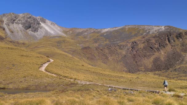 Static Hiker Crosses Barren Mountain Landscape Fiordland Kepler Track New — ストック動画