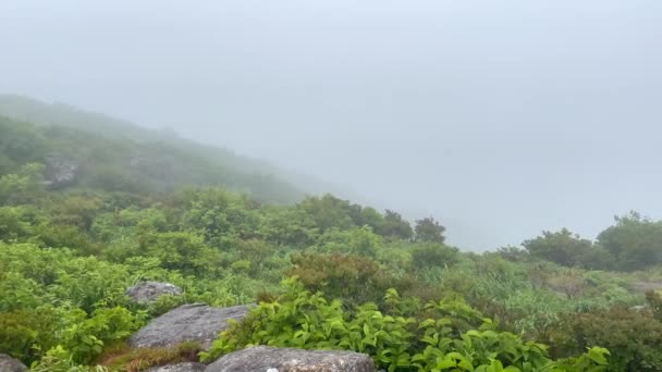 Jirisan国立公園の荒野で濃霧と雲の空中トップダウンショット ピークダウンから谷への眺め パンニングショット — ストック動画
