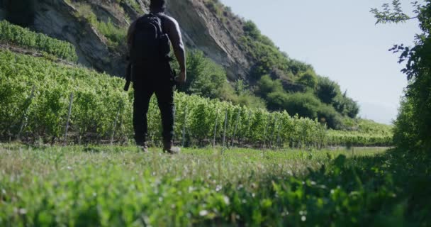 スイスのブドウ畑の緑の風景の間を歩くバックパック付きブラック男性旅行 — ストック動画