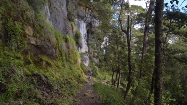 Static Hikers Approach Alongside Rock Wall Fiordland Kepler Track New — Videoclip de stoc
