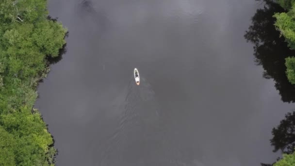 Vertical Aerial Tracks Person Paddleboarding Small Rural River — ストック動画