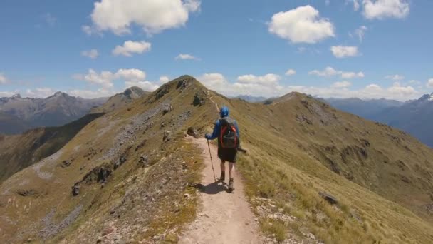 Follow Hiker Crosses Exposed Alpine Ridge Vast Mountain Landscape Fiordland — Stok video