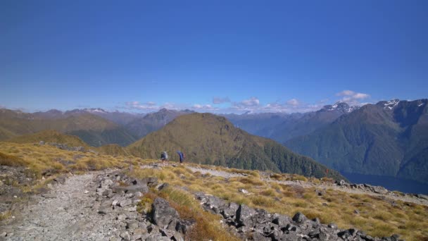 露出した山の風景 フィールドランド ケプラートラックニュージーランドを通じて静的 ハイカーのアプローチ — ストック動画