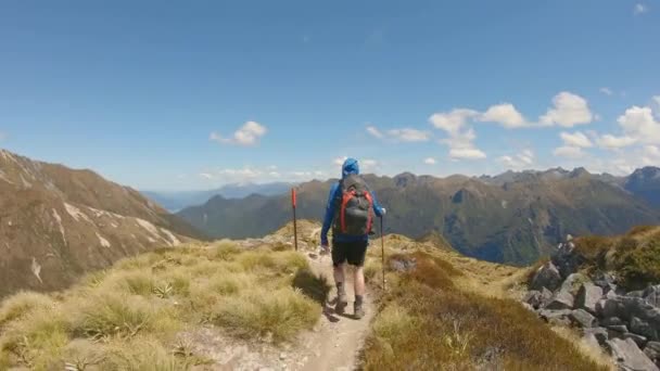Follow Playful Hiker Descends Exposed Alpine Ridge Fiordland Kepler Track — ストック動画