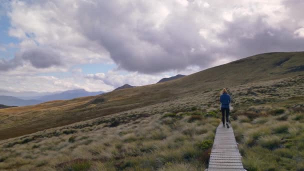 Pan Person Walks Boardwalk Exposed Alpine Landscape Fiordland Kepler Track — ストック動画