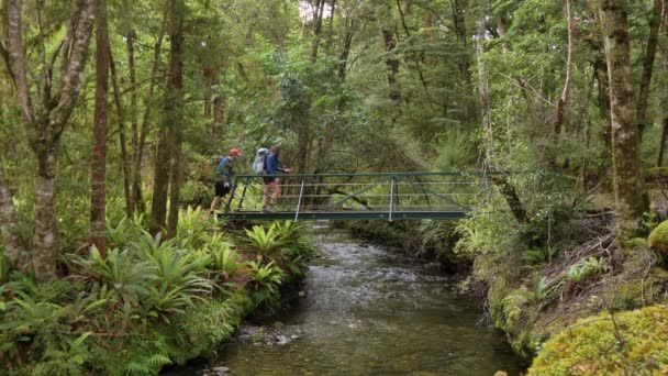 Static Hikers Cross Bridge Tranquil Creek Fiordland Kepler Track New — Vídeos de Stock