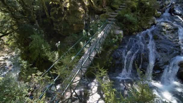 Static High Angle Hikers Cross Forest Bridge Mini Waterfalls Fiordland — Stockvideo