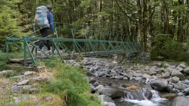 Pan Hiker Crosses Bridge Rocky Creek Fiordland Kepler Track New — Stockvideo