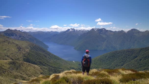 Static Hiker Overlooks Landscape Lake Surrounded Mountains Kepler Track New — ストック動画