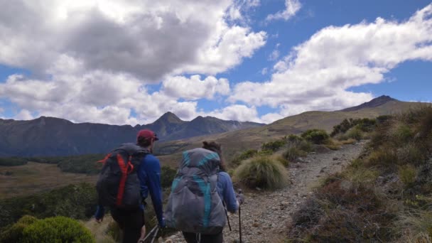 Static Hikers Enter Alpine Landscape Fiordland Kepler Track New Zealand — ストック動画
