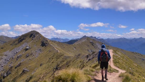 Static Center Hiker Crosses Alpine Ridge Vast Mountain Landscape Fiordland — Video Stock