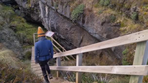 Slider Person Descends Stairs Luxmore Cave Kepler Track Side Trip — ストック動画