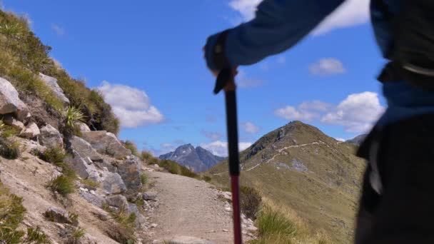Static Hiker Crosses Exposed Alpine Pass Fiordland Kepler Track New — Videoclip de stoc
