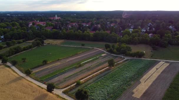 Small Village Agriculture Great Aerial View Flight Sinking Drone Footage — Stockvideo