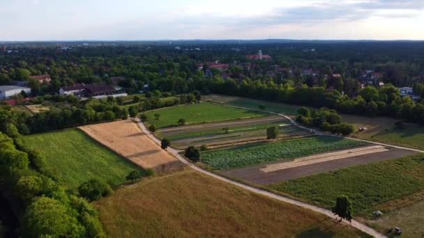 Meadow Fields Trees Surrounded City Villas Calm Aerial View Flight — Vídeos de Stock
