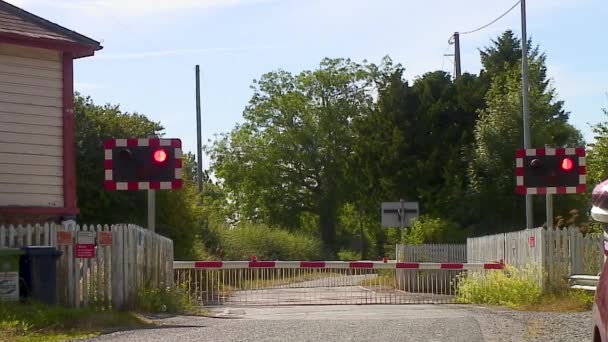 Барьеры Пересечении Уровня Мигающий Красный Свет Предупреждение Поезд Должен — стоковое видео