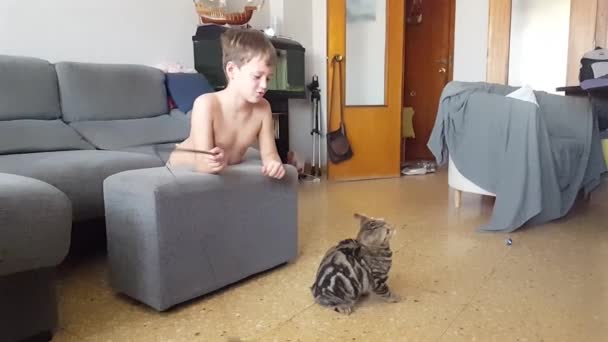 Маленький Хлопчик Грає Стрункою Вдома Своїм Котом — стокове відео