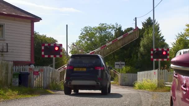 Vehicle Waiting Level Crossing Safety Barriers Lift Train Has Passed — Video Stock