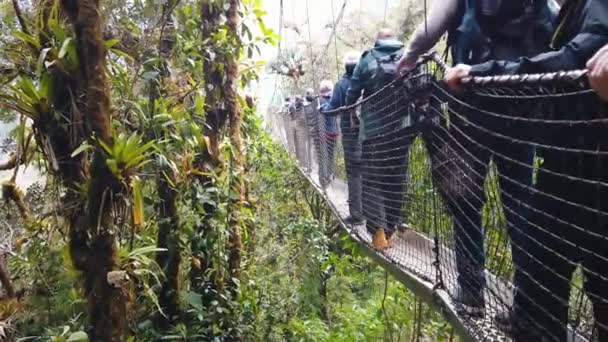 Gente Cruzando Puente Del Dosel Cuidadosamente Observatorio Del Dosel Del — Vídeo de stock