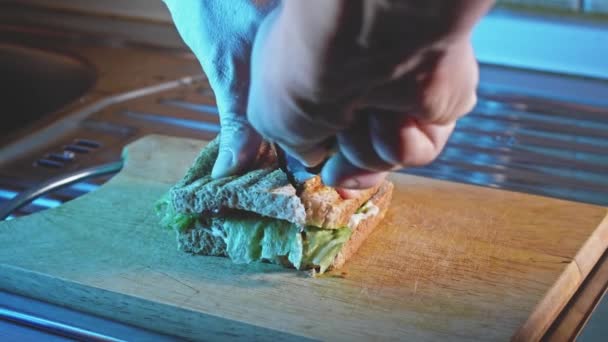 Hambúrguer Torrada Anabólico Corte Deitado Plano Com Enchimento Saudável Vegetais — Vídeo de Stock