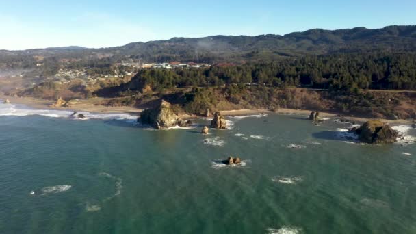 Aerial View Oregon Coastline Brookings Southern Oregon Usa Beautiful Seascape — Video Stock