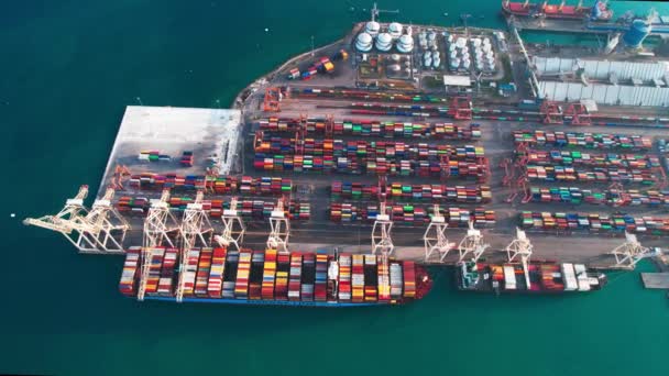 Colorful Shipping Containers Sea Port Aerial View Koper Slovenia Drone — Vídeos de Stock