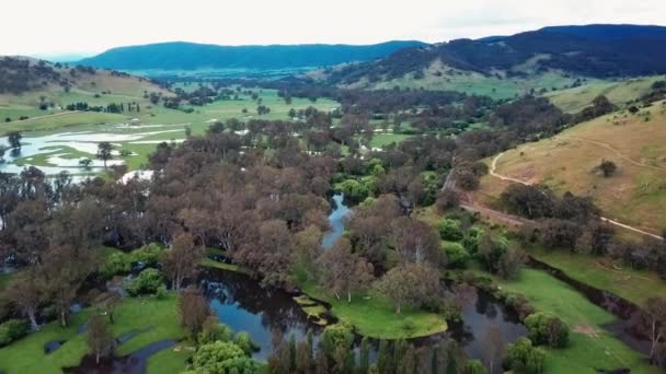 Drone Footage Swollen Floodplains Mitta Mitta River Enters Lake Hume — Stok video