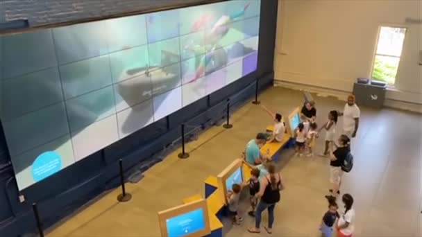 Looking Aquarium Display Maritime Aquarium Norwalk Connecticut — Video