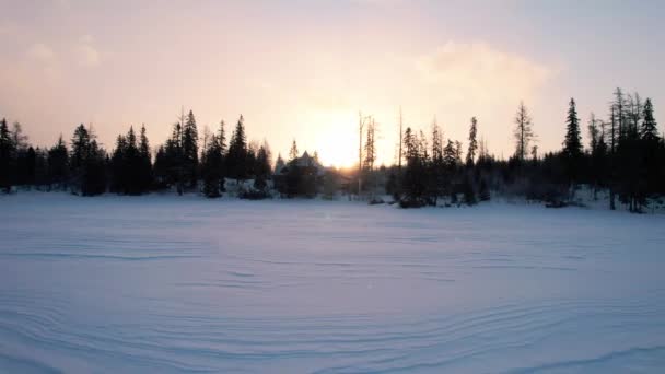 Beautiful Winter Morning Sunrise Snow Ground Drone Flys Low White — 图库视频影像